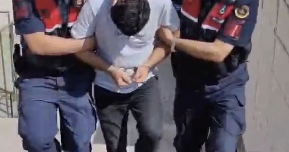 Edremit’teki orman yangına ilişkin 1 tutuklama