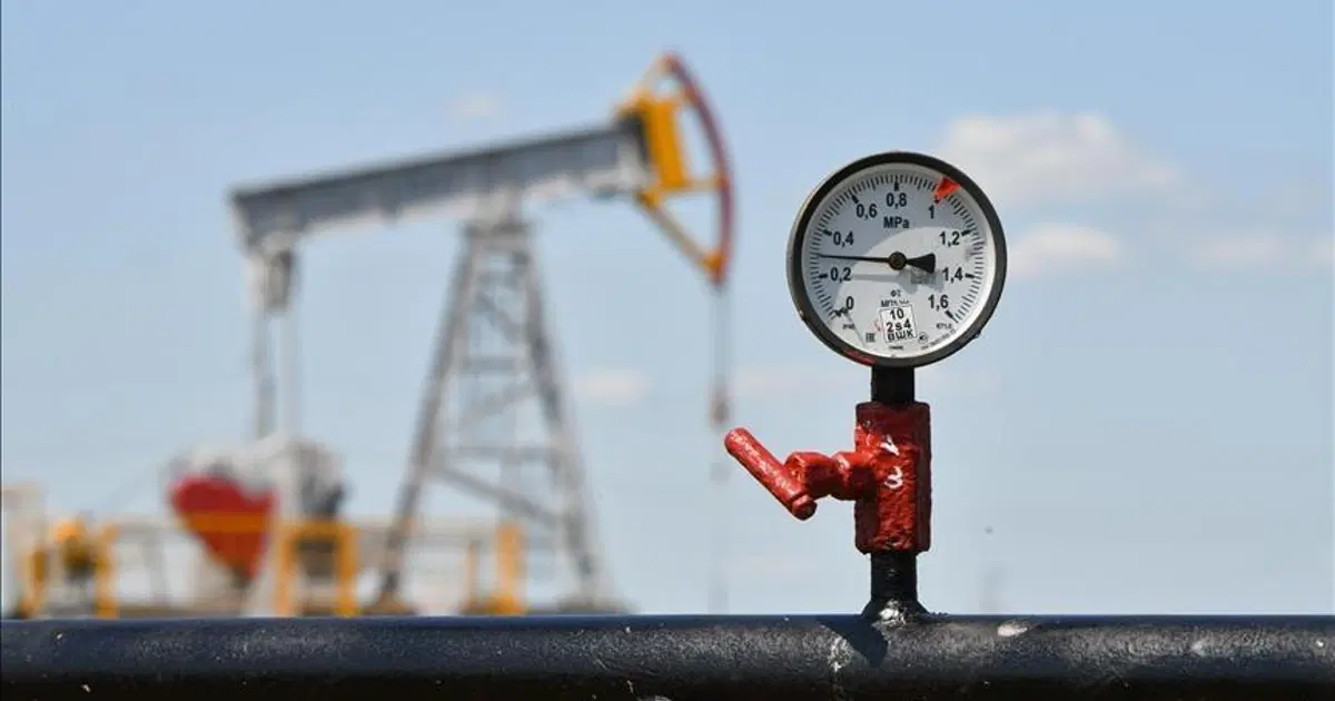 Petrol fiyatları 25 Mayıs: Petrol fiyatları düştü mü, ne kadar oldu? Brent petrol varil fiyatı ne kadar?
